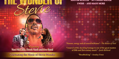 The Wonder of Stevie