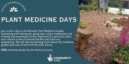 Plant Medicine Day - June