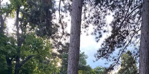 LU\u017d\u00c1NE\u010cT\u00cd POVALE\u010cI \/\/ PONAVA