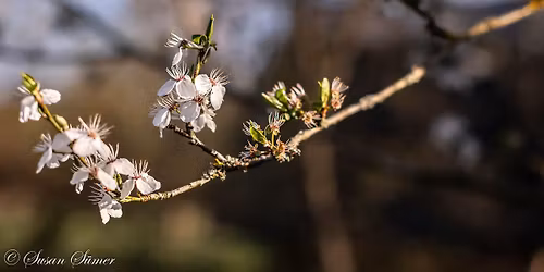 Wanderung auf der Goldenen Stra\u00dfe