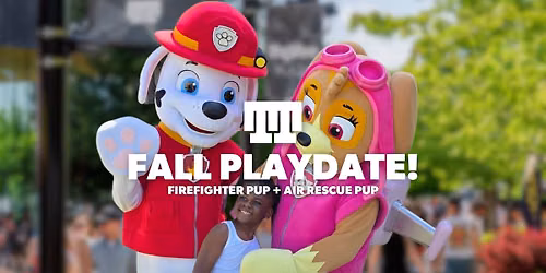 Fall Playdate! with Firefighter Pup + Air Rescue Pup