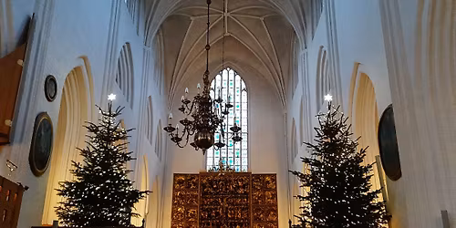 Julekoncert & Julefest