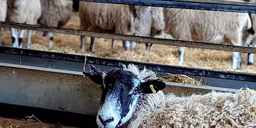 The Winkleigh Friendly Crochet Group