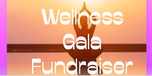 Wellness Gala Fundraiser - Support Your Public Charity & Harmony For Humanity