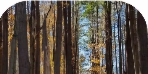 Walk in Saratoga Spa State Park