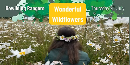 Rewilding Rangers: Wonderful Wildflowers
