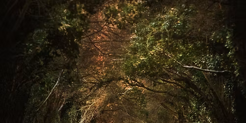 Therapia Theon: Restoring the Sacred in Our Lost Culture