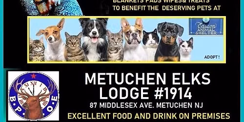 ELECTRIC BLONDIE CHARITY EVENT FOR EDISON ANIMAL SHELTER