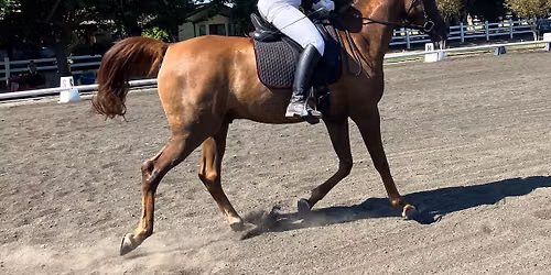 All Breed English\/Western Dressage Schooling Show