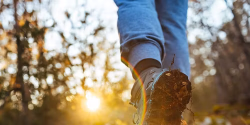 Wellbeing Wander through Nature