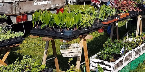 Vesterm\u00f8lle havemarked