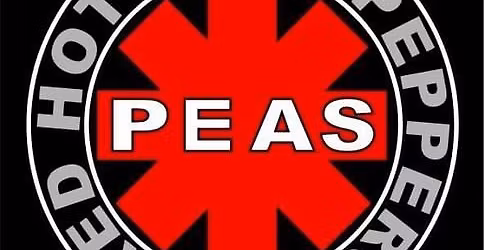 C'est jeudi ! Avec PEAS (cover Red Hot Chili Peppers) 