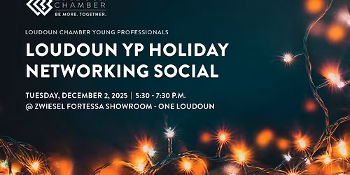 Loudoun Young Professionals Holiday Networking Mixer @ Zwiesel Fortessa