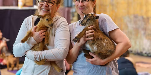 \ud83d\udc23 EASTER BABY GOAT YOGA EVENT @ Cooperage