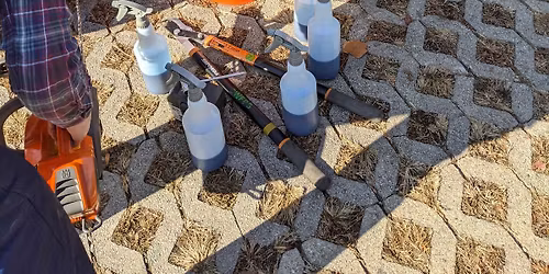 Give Back Day, Hazelwood Botanical Preserve