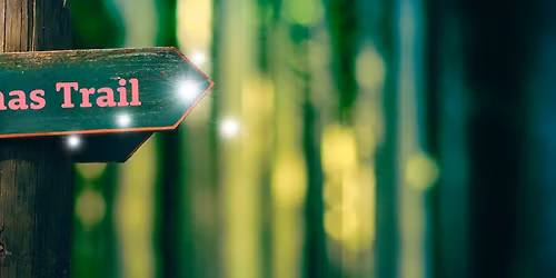 Thorpe Meadows Christmas Trail