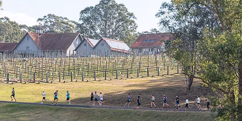 Winery Run 2026 - Hunter Valley Running Festival
