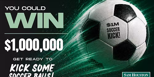 Million Dollar Soccer Stallion Kick