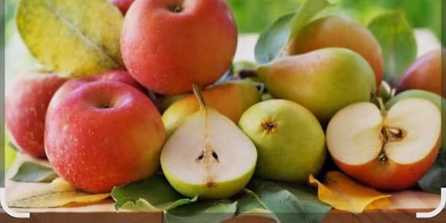 Camp House Cider Festival 2026