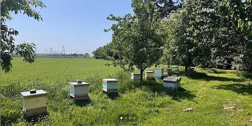 Richmond Beekeeper Association member Field Day June 14th, 2026