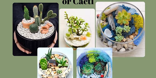 Succulent & Cacti Workshop