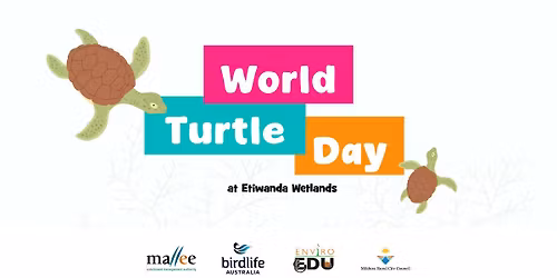 World Turtle Day at Etiwanda Wetlands