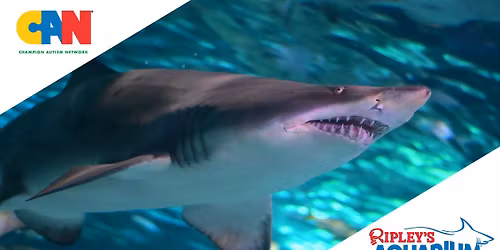 Sensory Event at Ripley's Aquarium of Myrtle Beach