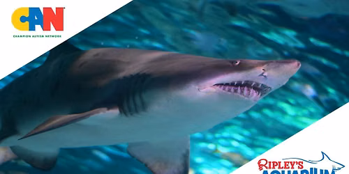 Sensory Event at Ripley's Aquarium of Myrtle Beach