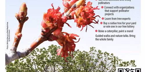Pollinator Appreciation Day