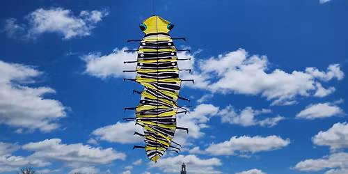 Coxhall Gardens Kite Festival