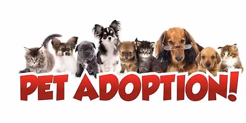 ADOPTION EVENT AT RURAL KING VAN WERT 