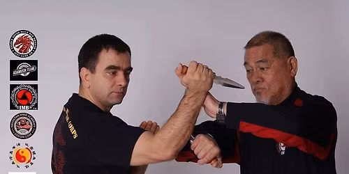 Seminarium sztuk walk - Jeet Kune Do \/ MMA \/ FMA