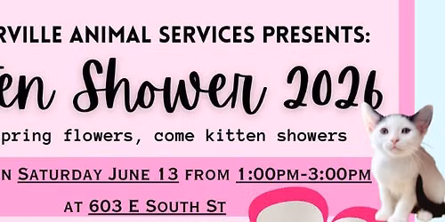 Kitten Shower 2026