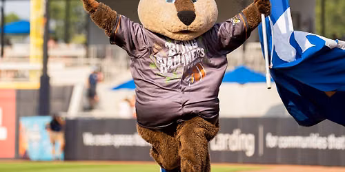 Whitecaps vs. Lansing Lugnuts: Beer City Bung Hammers