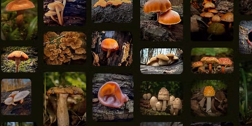 Nature Heals w\/ Keileigh