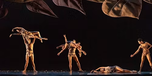 Parking - Joffrey Ballet - Chicago