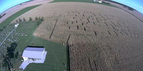Annual Corn Maze