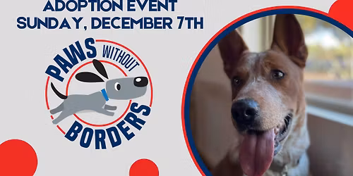 Adoption Event: Paws without Borders
