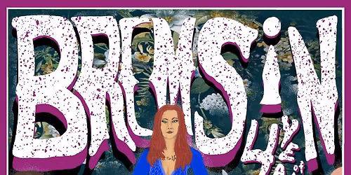 BremSin: Four Years of SIN