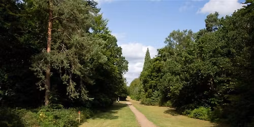 Brandon Country Park's Summer Trail