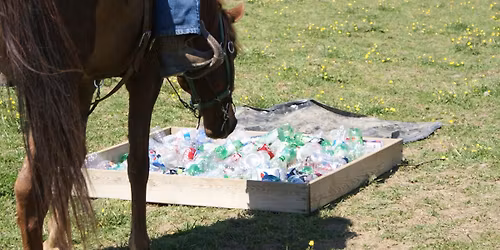 Obstacles and precision riding