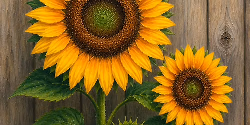 Acrylic Art Class: Sunflowers