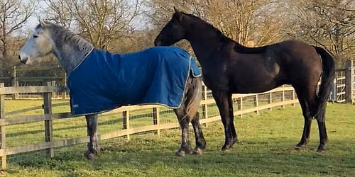 Old Berkeley Hunt Hughenden New Year Open Show Jumping Competition\n\n