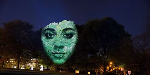 Monuments by Craig Walsh