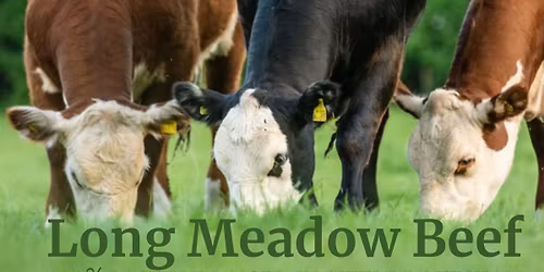 November Grass Fed Beef Sale