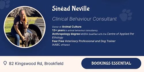 My Dog Is Reactive, Now What?! 