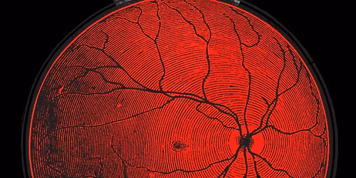 Dustin Edward Howard - Live Score - HAXAN 2025 - DEC 20th Saturday