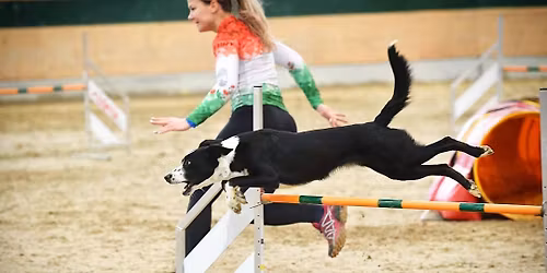 Agility semin\u00e1r s Anitou Szil\u00e1gyi