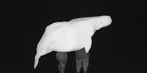 CAUSERIE - COMMENT PARLER DE LA DISPARITION DES BALEINES AUX ENFANTS