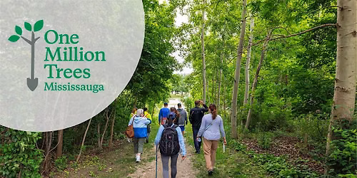 Fall Guided Walk at Sugar Maple Woods